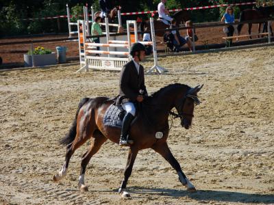 Equestrian CHIO Aachen Tickets