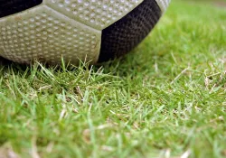 Bayer 04 Leverkusen - Bayern München